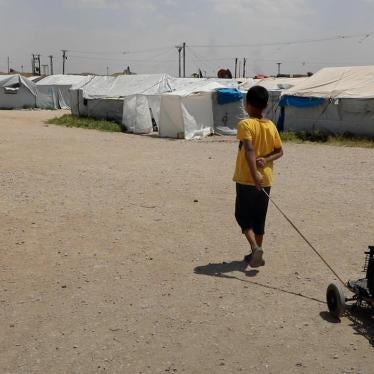 A boy drags a cart